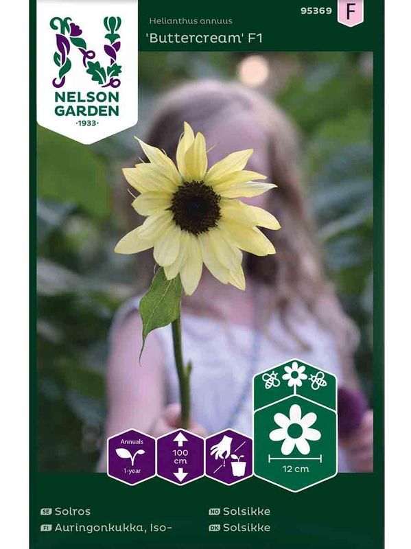 Solsikke 'Buttercream' F1