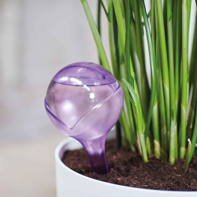 Hovedbilde Selv-vanning 'aqua care' lilla 2stk