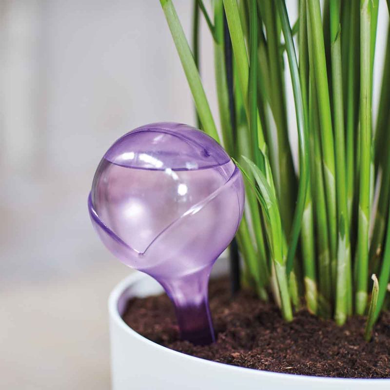 Selv-vanning 'aqua care' lilla 2stk