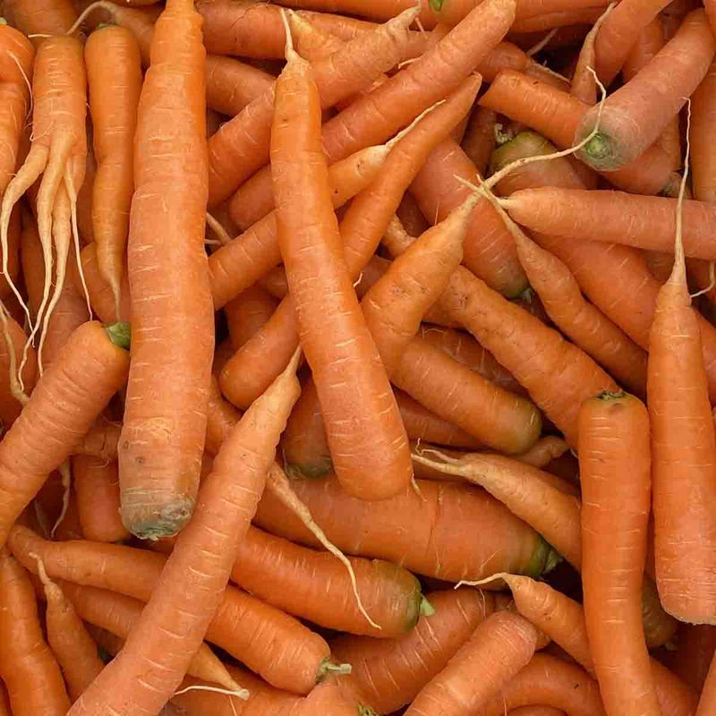 Gulrot vasket, pakket 10 stk (1 kg)