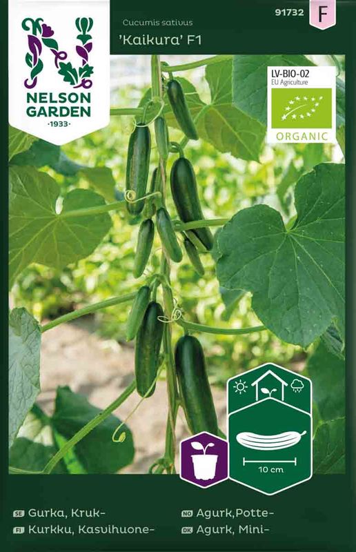 Agurk, Potte- 'Kaikura' F1 økologisk