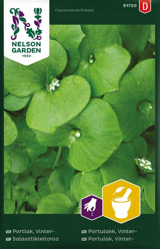 Portulakk, Vinter-
