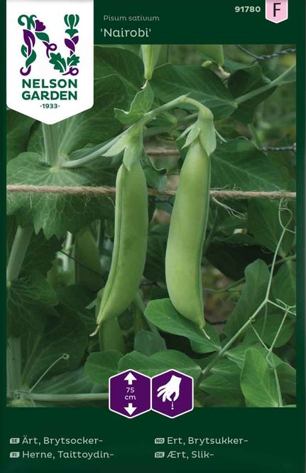 Hovedbilde Brytsukker-ert 'Nairobi'