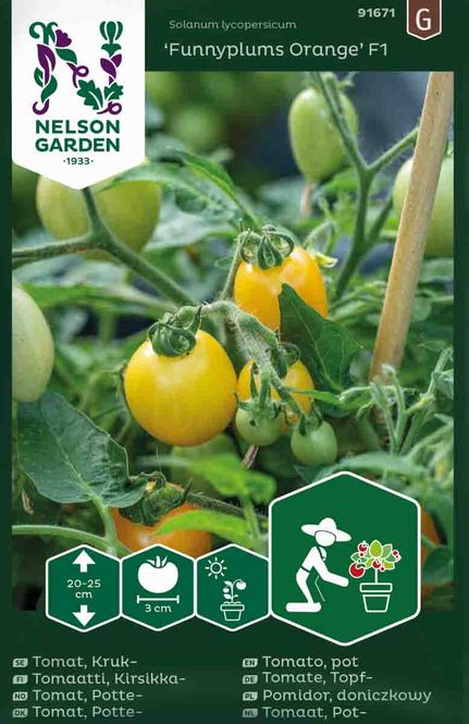 Hovedbilde Cherrytomat 'Funnyplums Orange' F1