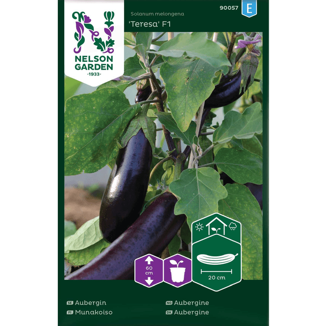 Hovedbilde Aubergine, 'Teresa' F1
