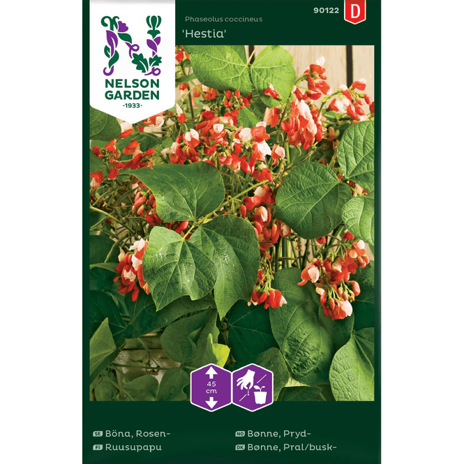 Hovedbilde Pryd-bønne 'Hestia', lav