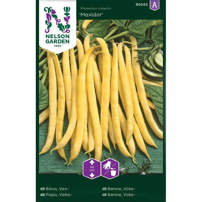 Hovedbilde Voks-bønne 'Maxidor' lav