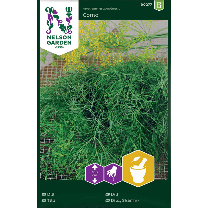 Hovedbilde Skjerm-dill 'Como'