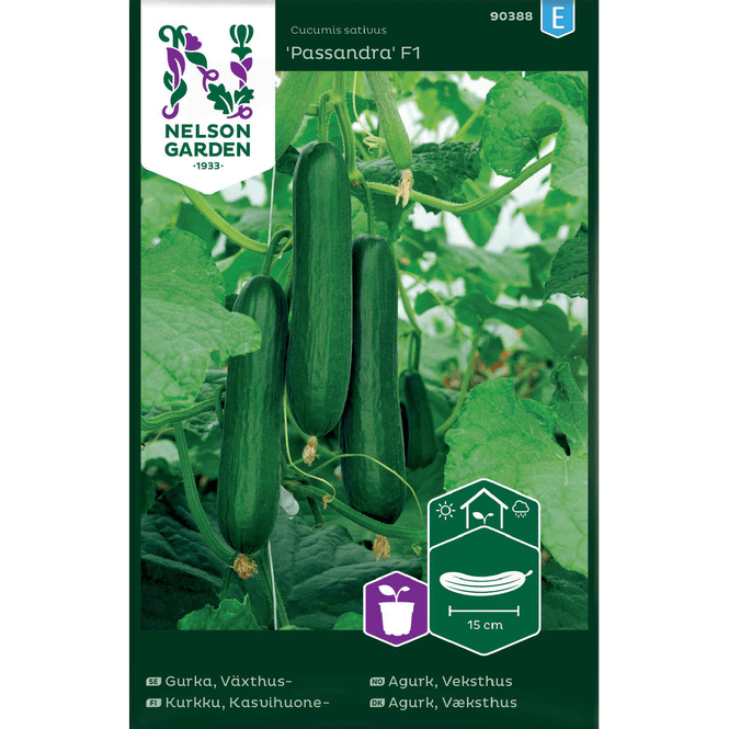 Hovedbilde Agurk, slange- 'Passandra' mini, veksthus