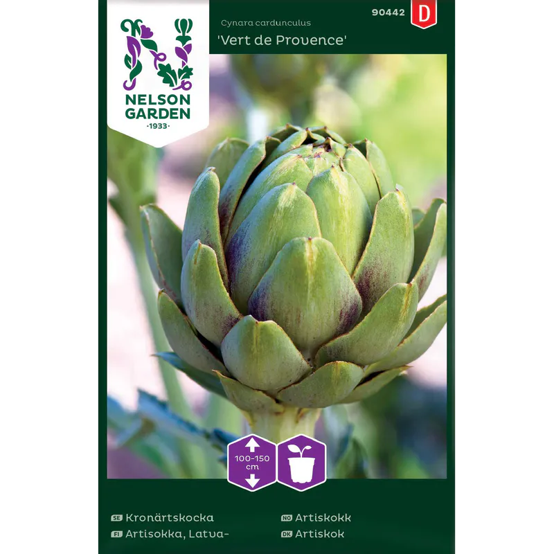 Artiskokk 'Vert de Provence'