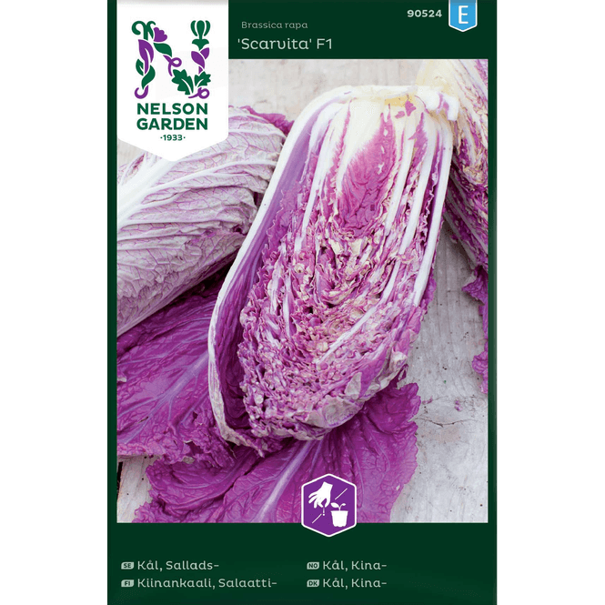 Hovedbilde Kinakål 'Scarvita' F1