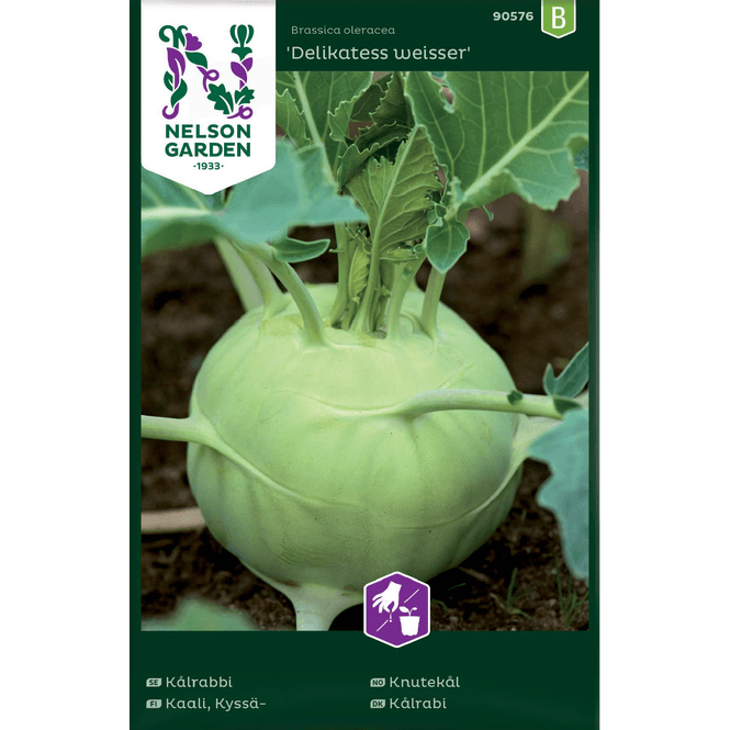 Hovedbilde Knutekål 'Delikatess weisser'