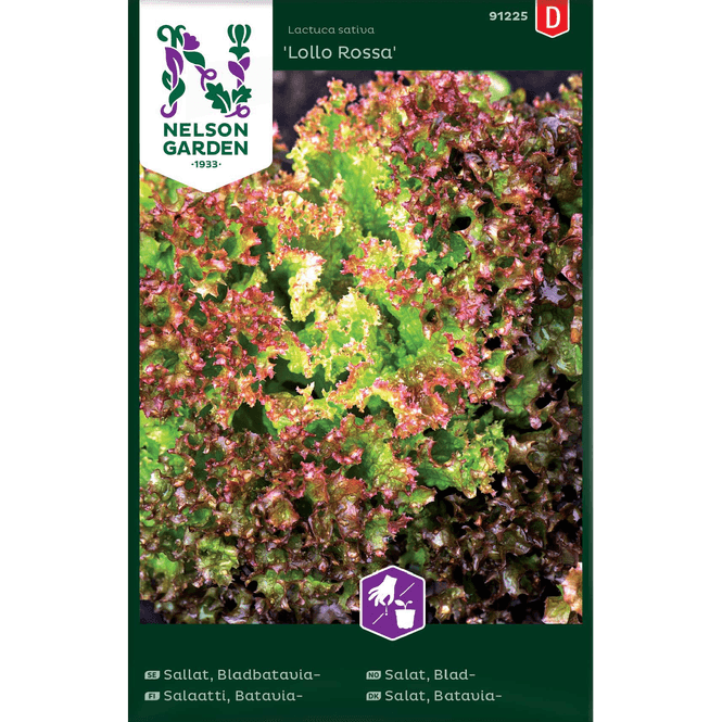Hovedbilde Bladsalat 'Lollo Rossa'