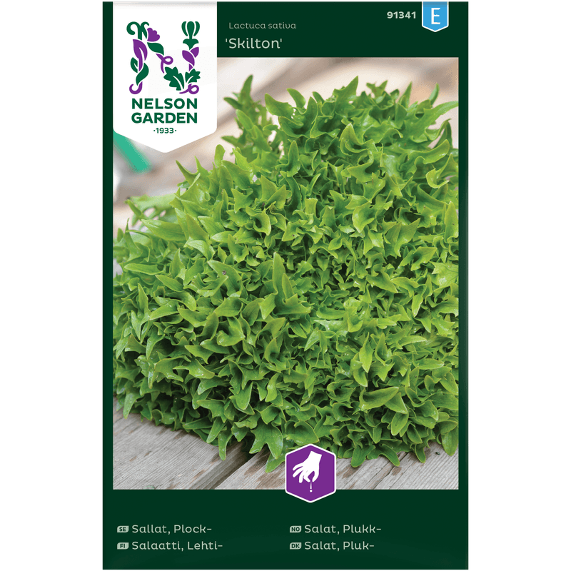 Plukksalat 'Skilton'