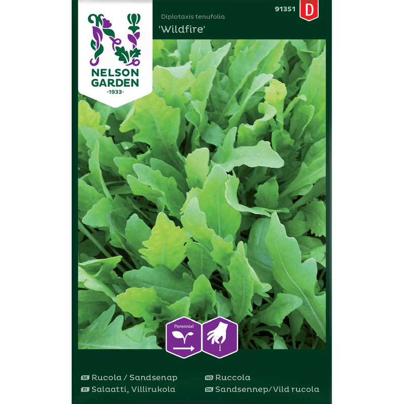 Ruccola, Sandsennep 'Wildfire' 
