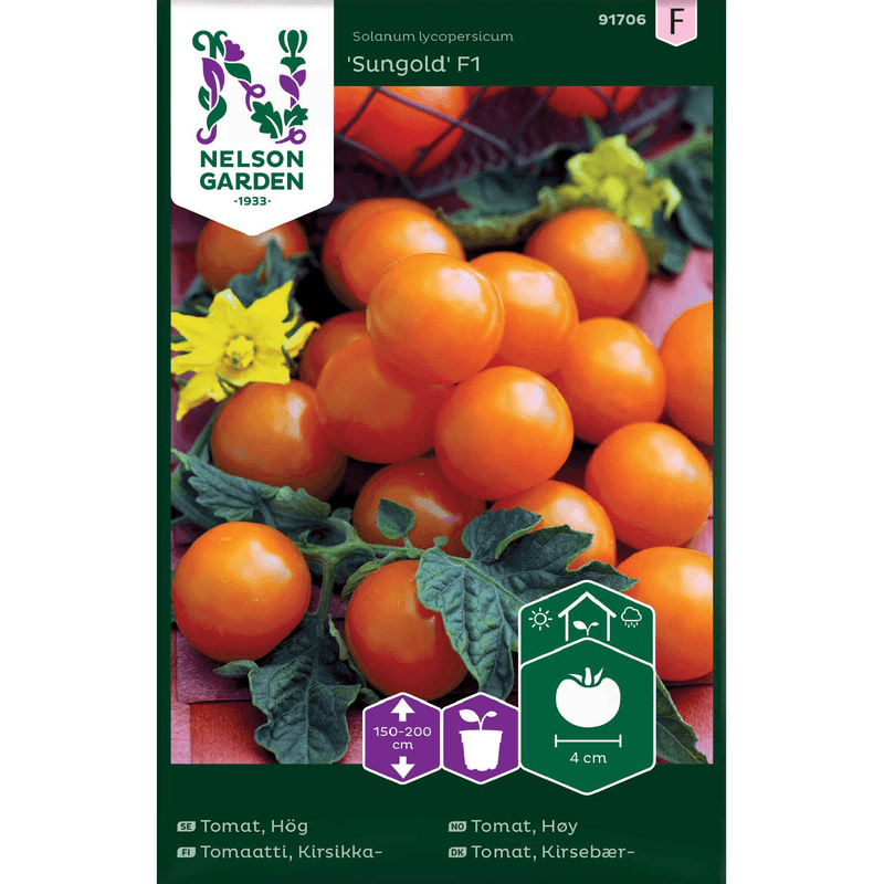 Cherrytomat 'Sungold' F1