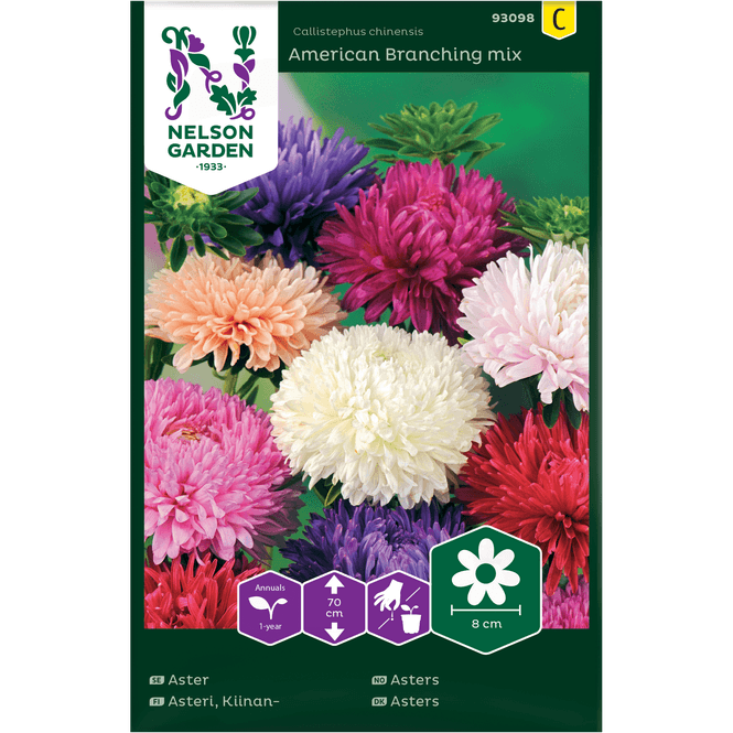 Hovedbilde Asters  'Amerikan'