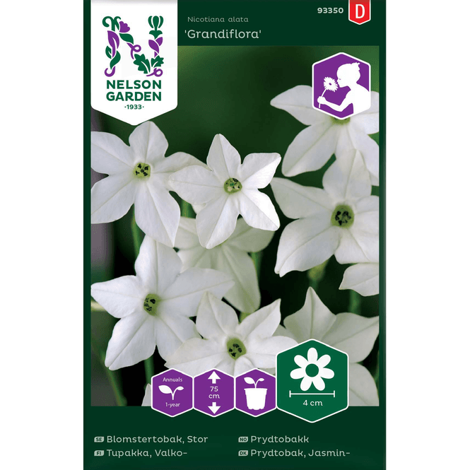 Hovedbilde Prydtobakk 'Grandiflora' hvit