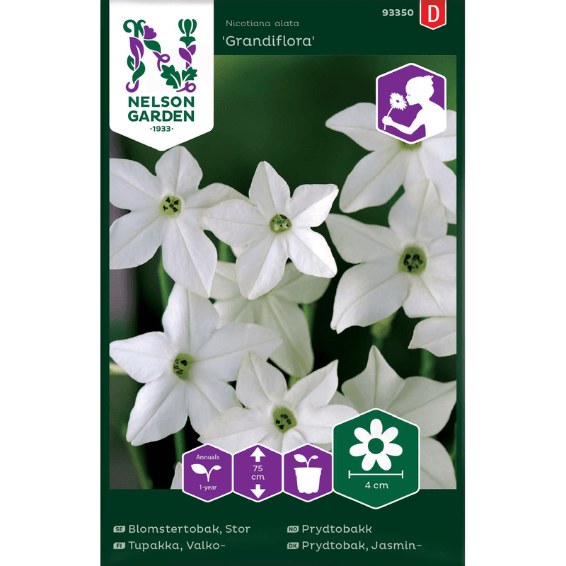 Prydtobakk 'Grandiflora' hvit