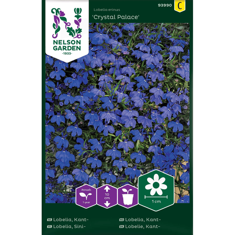 Kantlobelia 'Crystal Palace'