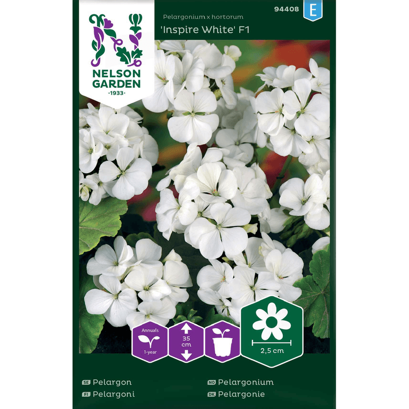 Pelargonium 'Inspire White' F1 hvit