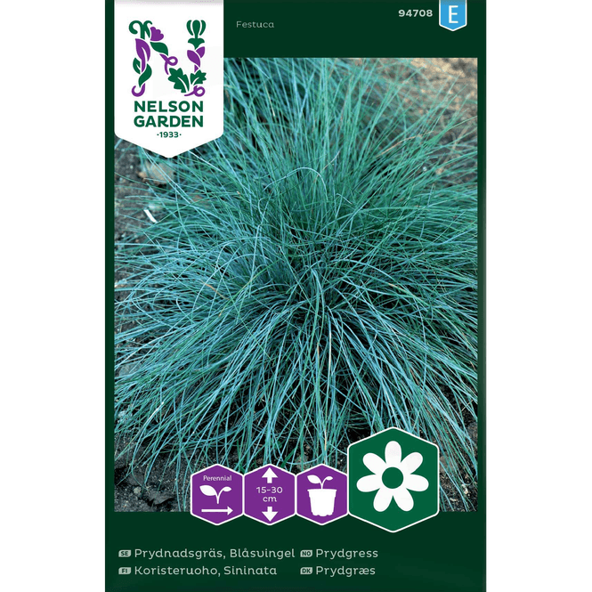 Hovedbilde Prydgress, Blåsvingel