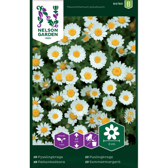 Hovedbilde Puslingkrage, hvit