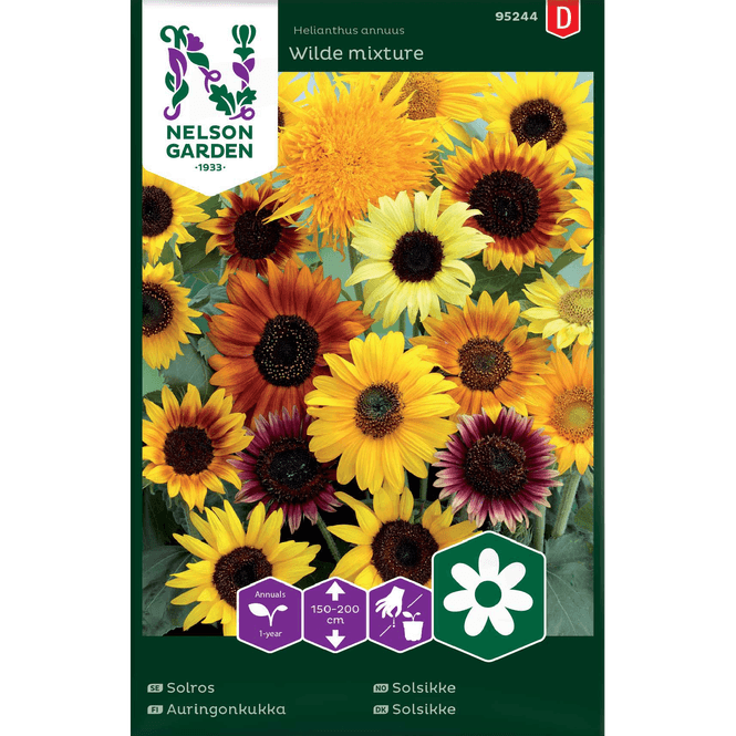 Hovedbilde Solsikke blandede sorter