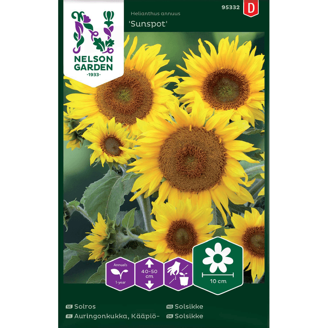 Hovedbilde Solsikke 'Sunspot'  lav