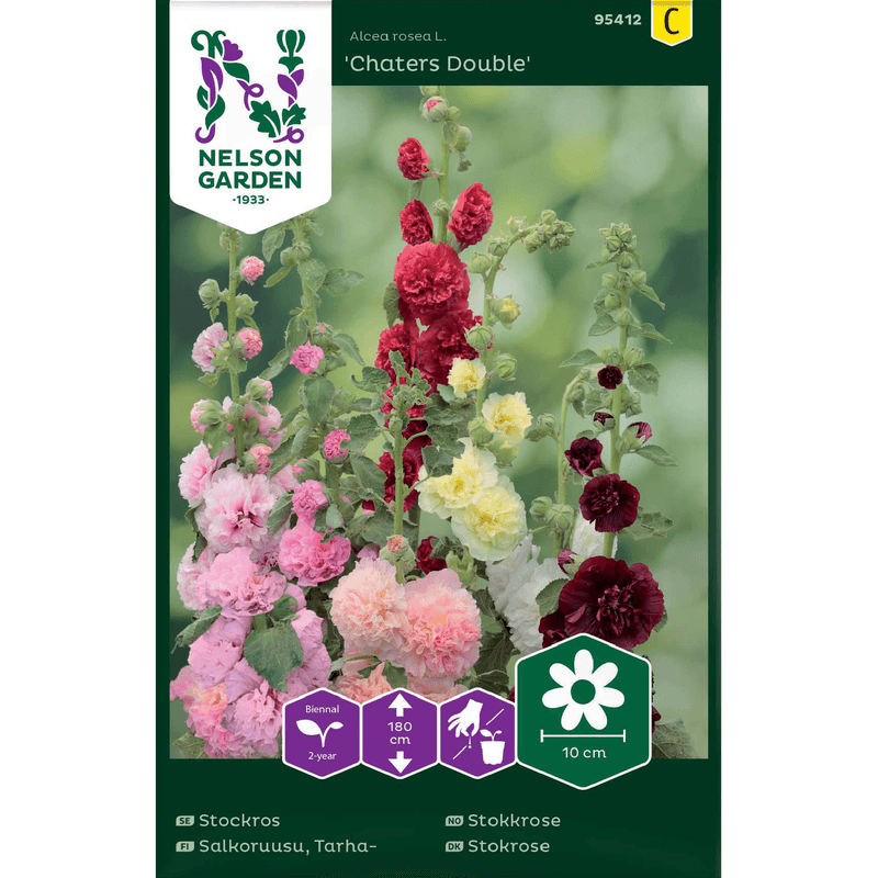 Stokkrose 'Chaters Double'