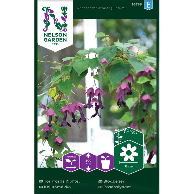 Hovedbilde Blodbeger