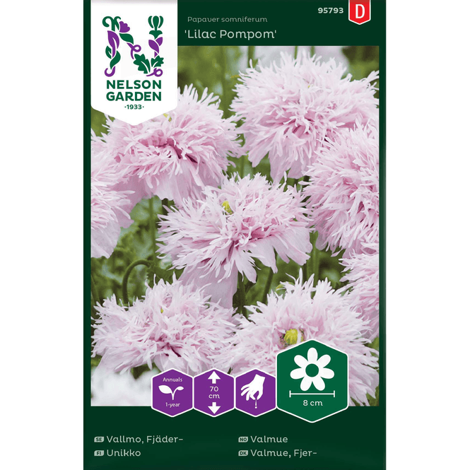 Hovedbilde Valmue 'Lilac Pompom'