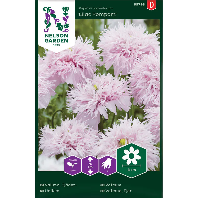 Valmue 'Lilac Pompom'