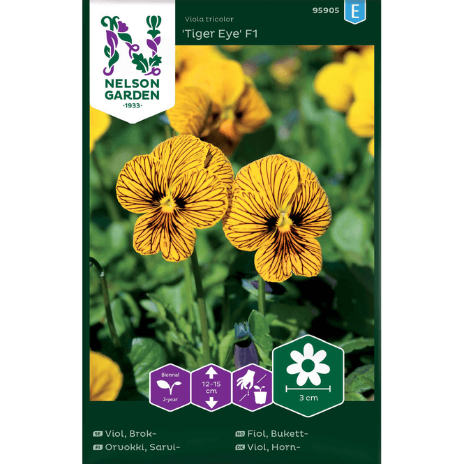 Hovedbilde Bukettfiol 'Tiger Eye' F1
