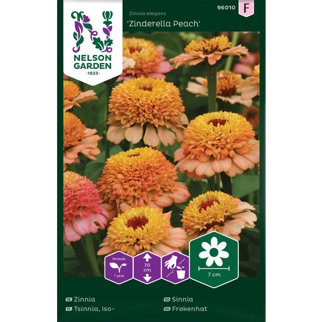 Hovedbilde Sinnia  'Zinderella Peach'