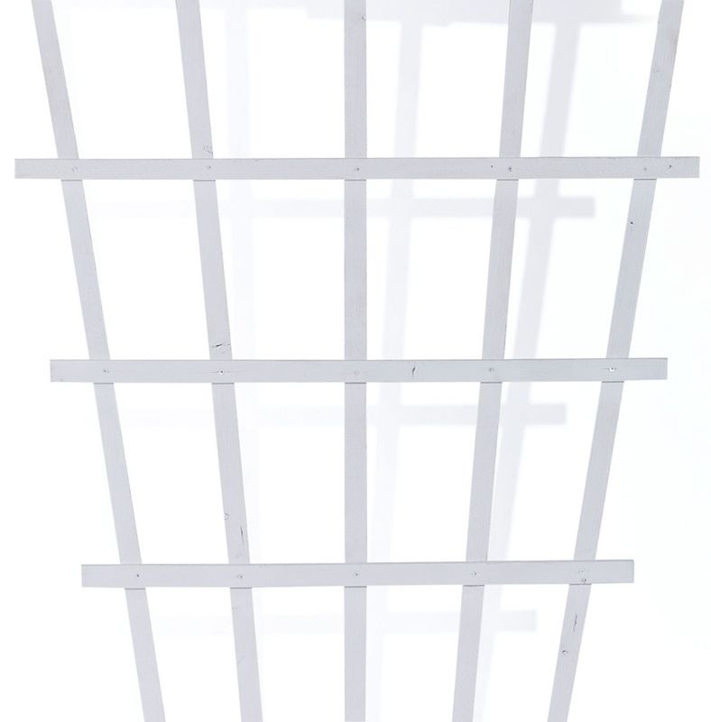 Treespalier 'Solfjær' hvit 80x175cm