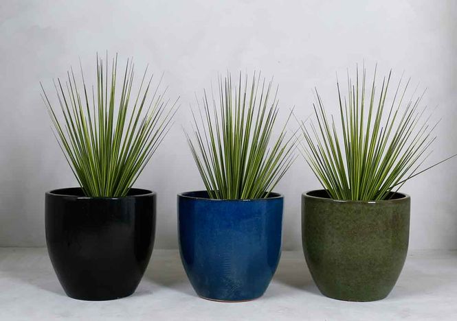 Hovedbilde Sunny krukke