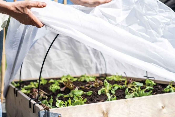 Hovedbilde Fiberduk for pallekarmbøyler 50g/m²