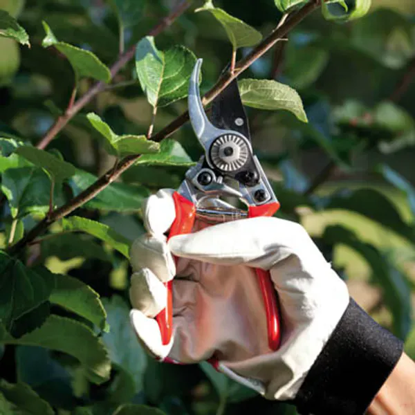 Verktøy og hageredskaper