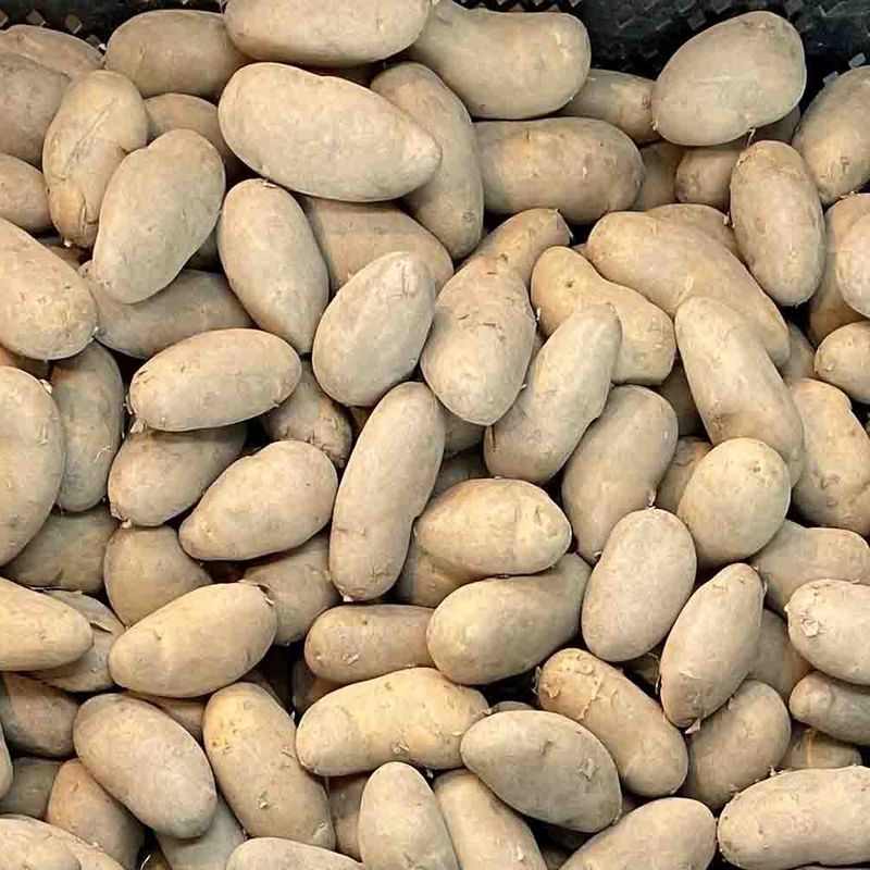 Settepotet, mandel - pris per kilo