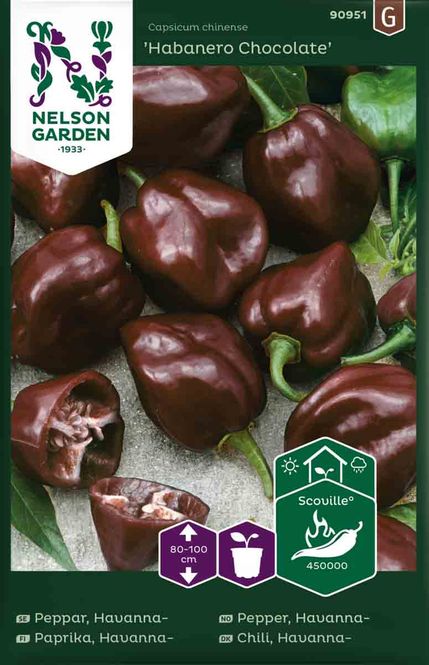 Hovedbilde Chilipepper, Havanna-  'Habanero Chocolate'